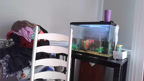 Snapshot of countrylovin2018 chatting on 03.04.25 Fallen Angel 21 online show from 03.04.25