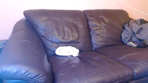 Tony online show from 03.01.25