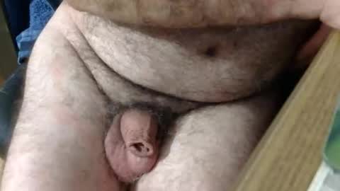 coyote017 online show from 02.15.26