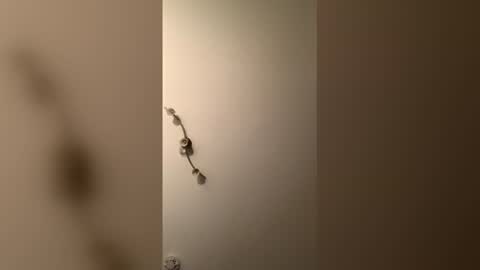 Snapshot of cp1a chatting on 12.18.25 cp1a online show from 12.18.25