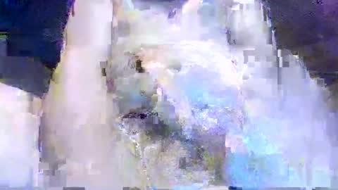 crazydog3690 online show from 03.12.26