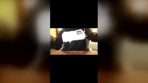 Curtis online show from 03.22.26