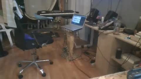 cristalcristo online show from 05.11.26