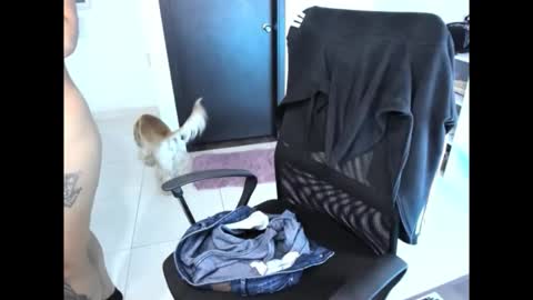 Snapshot of cristinasweet7 chatting on 11.30.25 cristinasweet7 online show from 11.30.25