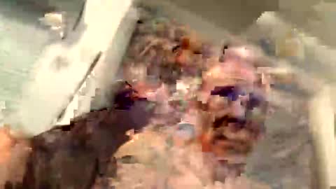 critterick6674 online show from 03.31.26