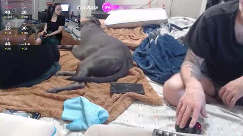 Crownandkat online show from 03.02.26