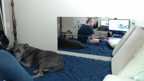 Crownandkat online show from 03.19.26