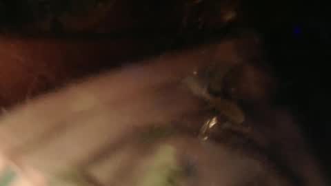 Snapshot of cryan78 chatting on 02.02.25 cryan96 online show from 02.02.25