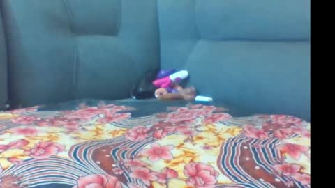 Snapshot of crystallgem chatting on 03.02.26 crystallgem online show from 03.02.26