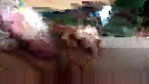 cubforotter online show from 10.12.25