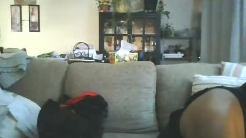 cumdumpslutfag online show from 06.11.26