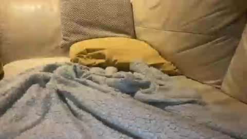 Snapshot of cumfar1985 chatting on 12.18.25 Cumfar online show from 12.18.25