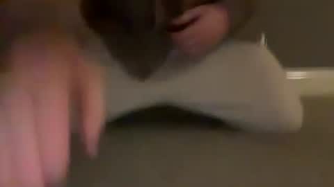 Cumfar online show from 03.31.26