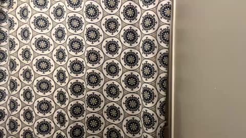 Snapshot of cumking51 chatting on 01.20.25 ConCon online show from 01.20.25