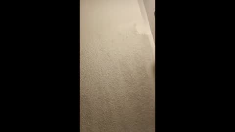 Snapshot of cumplay79 chatting on 01.19.26 cumplay79 online show from 01.19.26