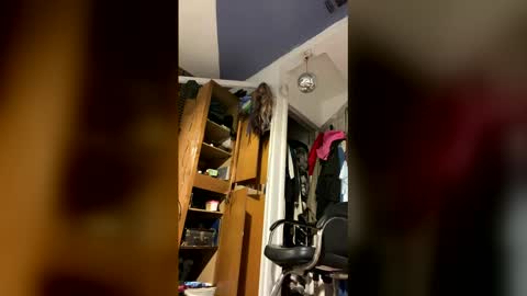 Aprilia online show from 02.02.26