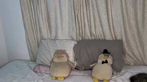 Snapshot of curls_emma chatting on 01.11.25 Emma online show from 01.11.25