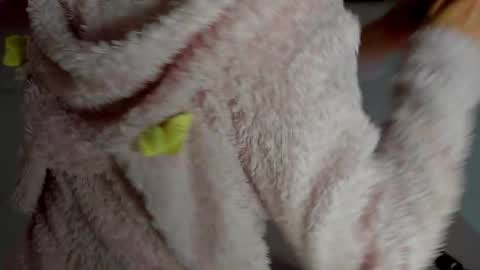 Antonia online show from 11.12.25