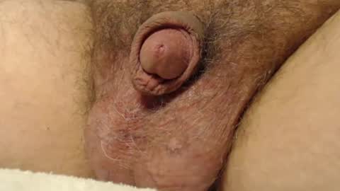 curve66 online show from 11.17.25