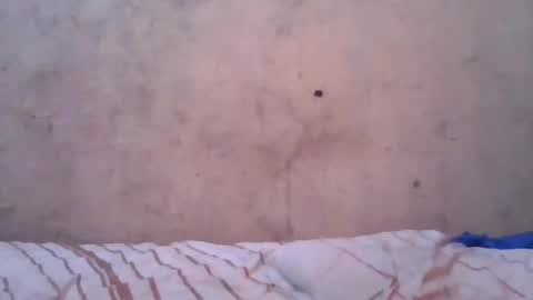 cute_divah4 online show from 06.12.26