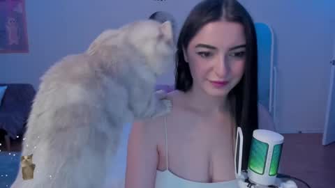 Bb online show from 12.11.24