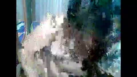 cutechubbyasian online show from 04.26.26