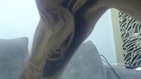 cuteeboy online show from 12.02.25