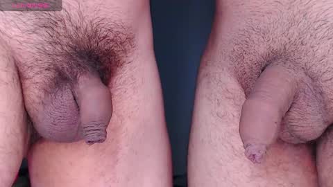 cyber online show from 03.11.25