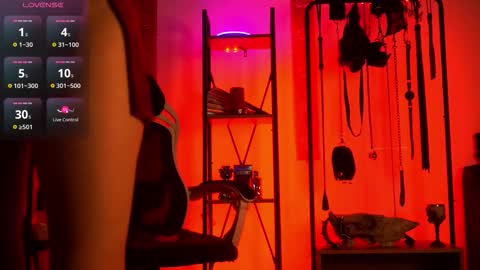 Snapshot of cyberxgoddess_ chatting on 02.24.26 Lily Goddess online show from 02.24.26