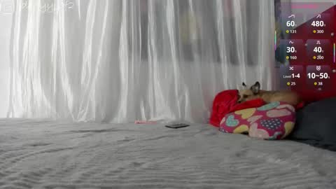 Snapshot of daani_hott chatting on 01.09.26 daani_hott online show from 01.09.26