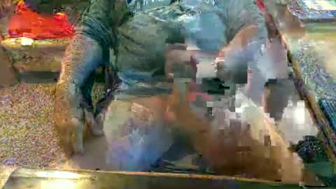 dabaatendae online show from 01.12.25