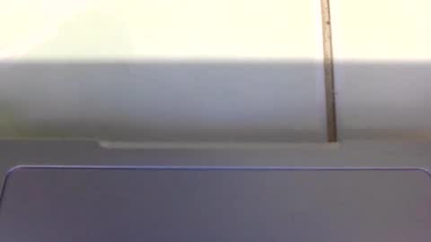 dada0813 online show from 02.28.26