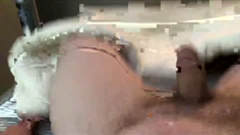 Free c2c online show from 11.28.25