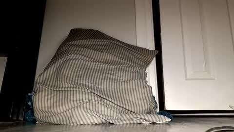 Snapshot of daddyplumber1 chatting on 12.21.25 daddyplumber1 online show from 12.21.25