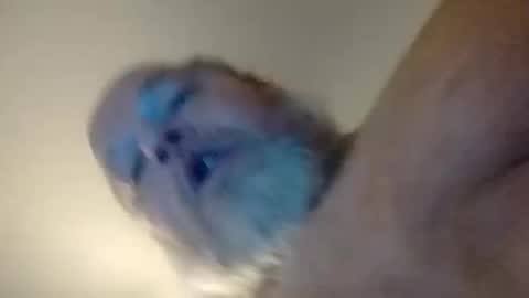 Snapshot of daddyshome4115 chatting on 12.20.25 Daddyshome4115 online show from 12.20.25