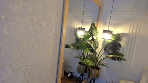 dafne_hillss online show from 11.20.25