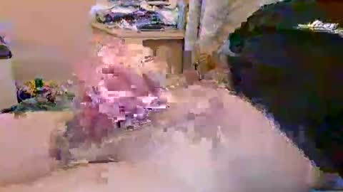 dafo1980 online show from 04.23.26