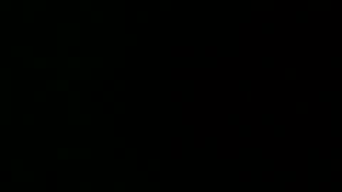 dailydisguised online show from 04.02.26