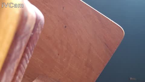 Snapshot of daisybanx chatting on 12.27.24 Daisy Banx online show from 12.27.24