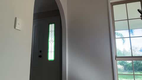 Snapshot of daisyfayer chatting on 03.15.26 Daisy online show from 03.15.26