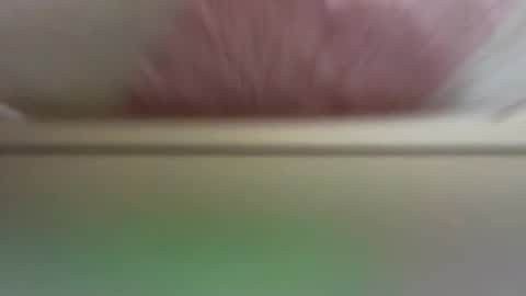 Snapshot of daisyfayer chatting on 03.19.26 Daisy online show from 03.19.26