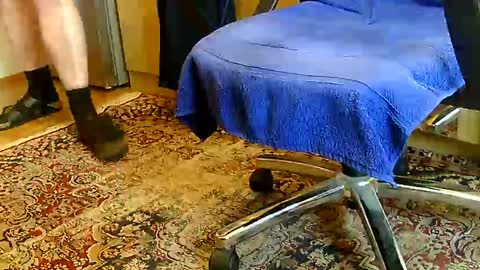 Dammerl online show from 12.11.24