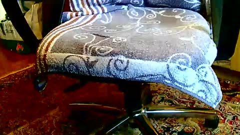 Dammerl online show from 01.23.25