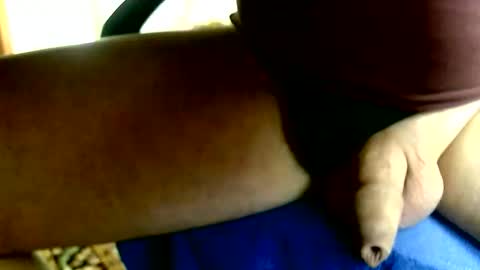 Dammerl online show from 01.11.26