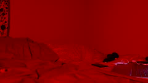 Nova online show from 04.11.26