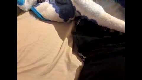 damsobigdick2 online show from 03.09.26