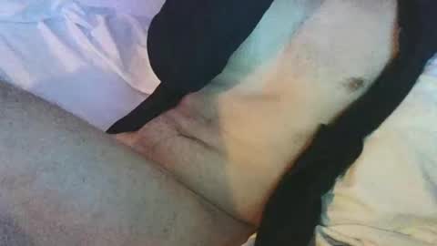 dan567y online show from 02.28.25