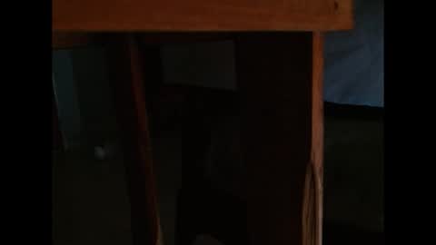 Snapshot of dangerhook chatting on 11.24.25 dangerhook online show from 11.24.25