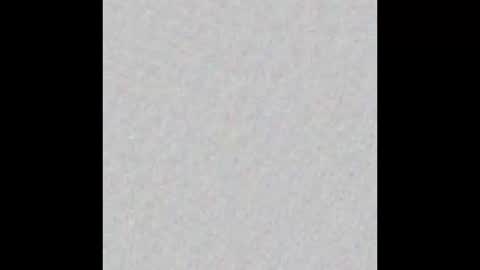 Dani Brasil online show from 12.21.25