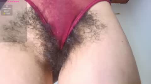 DANIA online show from 06.25.26